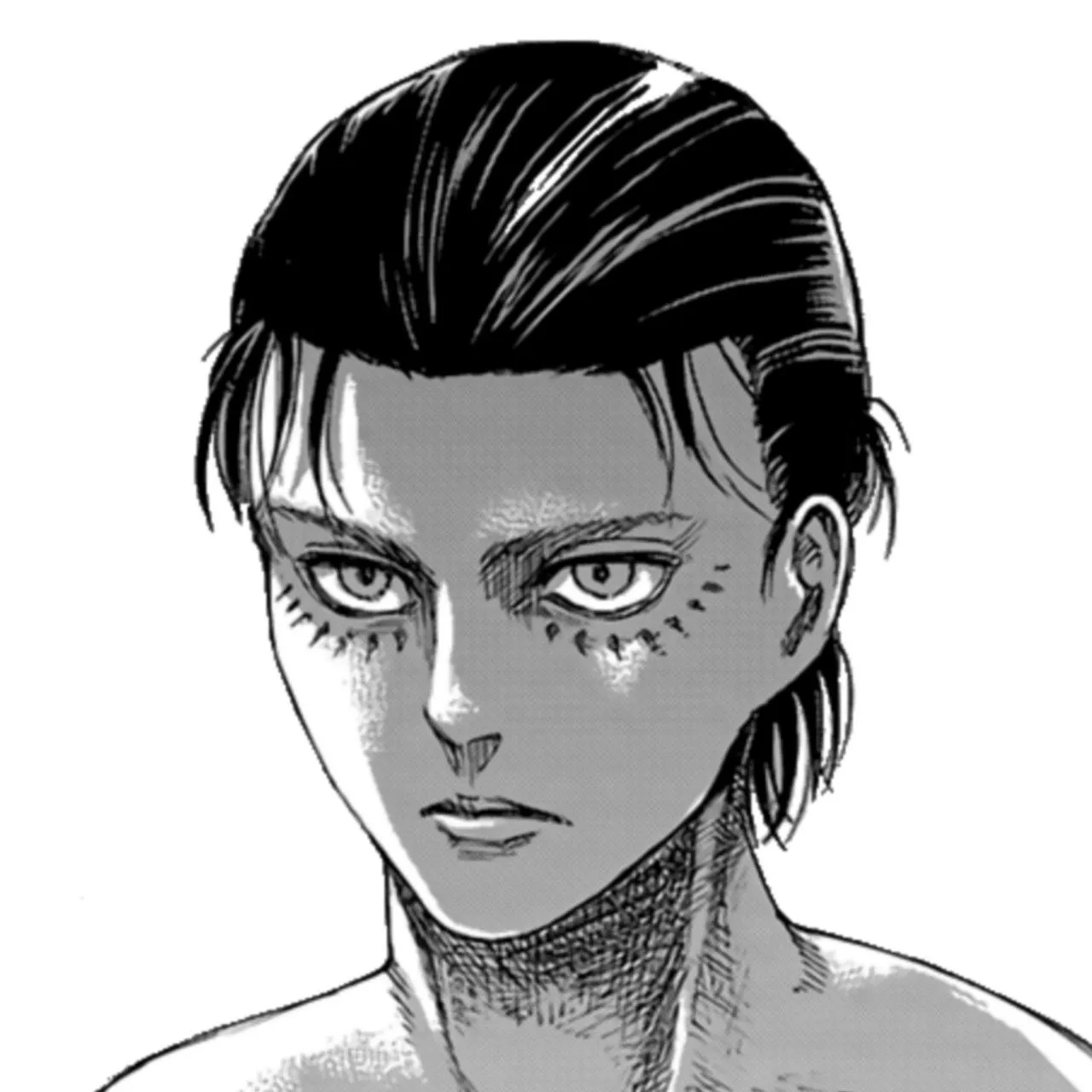 titan aesthetic eren yeager pfp
