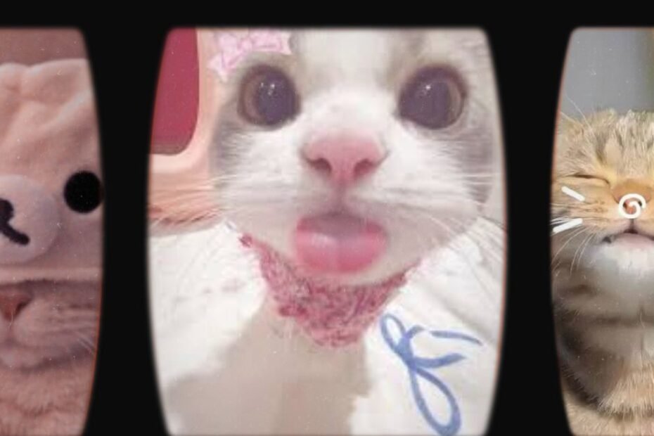 Cute PFP Images