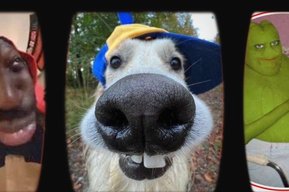 Goofy Ahh PFP