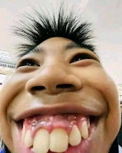 Goofy ahh cat pfp
